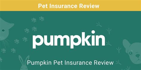 pumpkin pet care reviews.